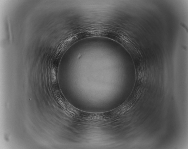 X0000100781106200806261622