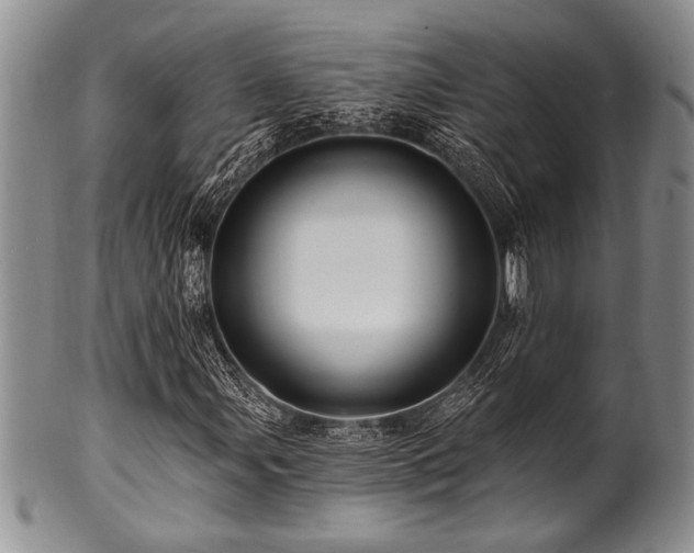 X0000100781107200806261622