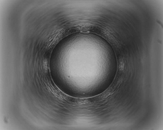 X0000100781108200806261622