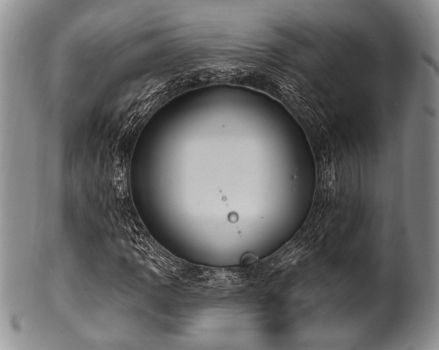 X0000100781109200806261622