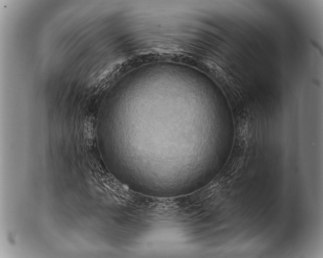 X0000100781110200806261622