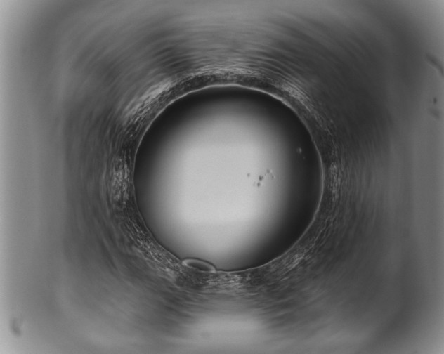 X0000100781111200806261622