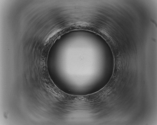 X0000100781112200806261622