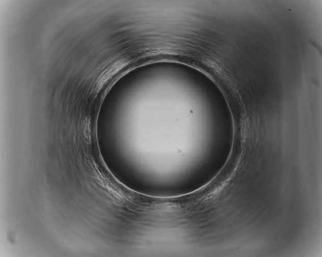 X0000100781113200806261622