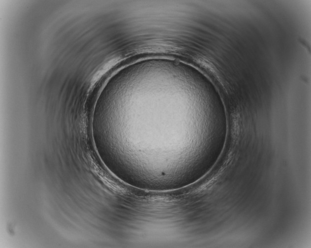 X0000100781114200806261622