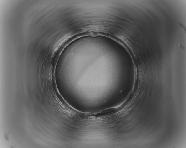 X0000100781115200806261622