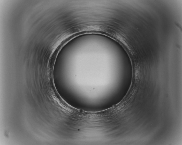 X0000100781116200806261622