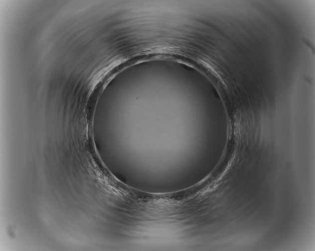 X0000100781117200806261623