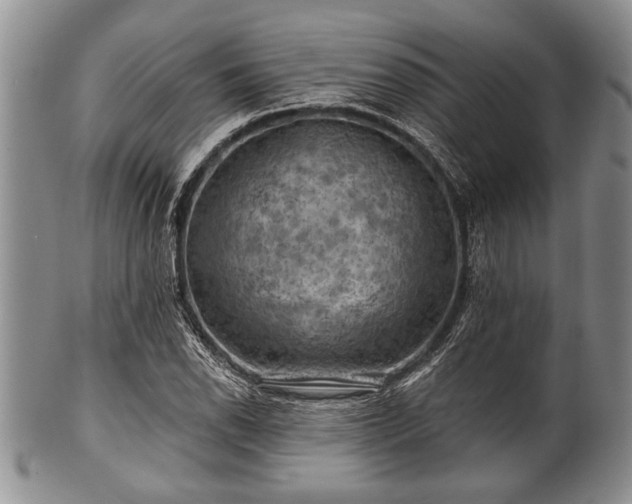 X0000100781118200806261623