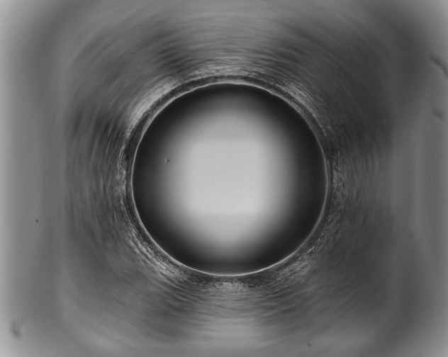 X0000100781119200806261623