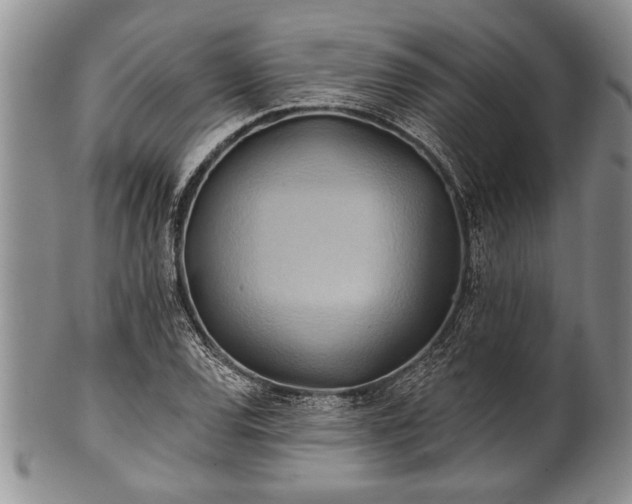 X0000100781120200806261623