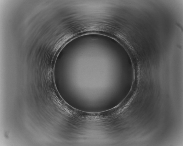 X0000100781121200806261623