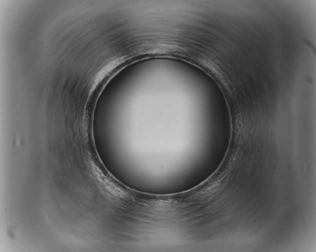 X0000100781122200806261623