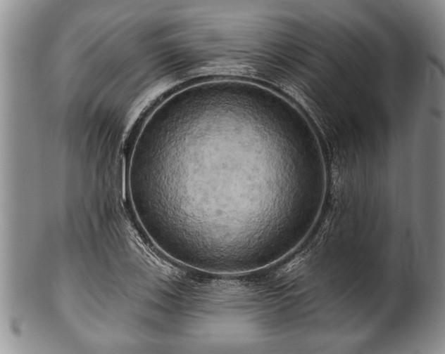 X0000100781123200806261623