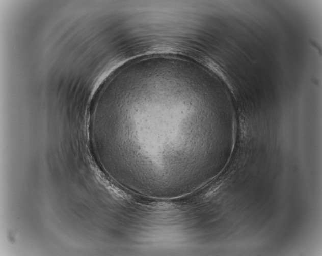 X0000100781124200806261623