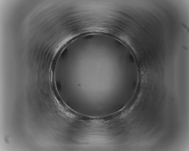 X0000100781125200806261623