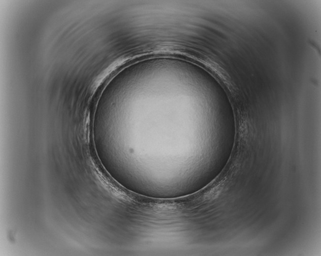 X0000100781126200806261623