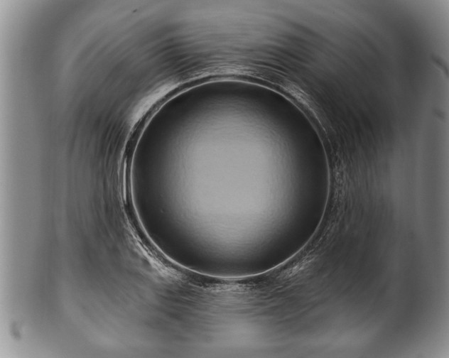 X0000100781127200806261623