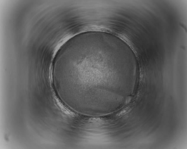 X0000100781128200806261623