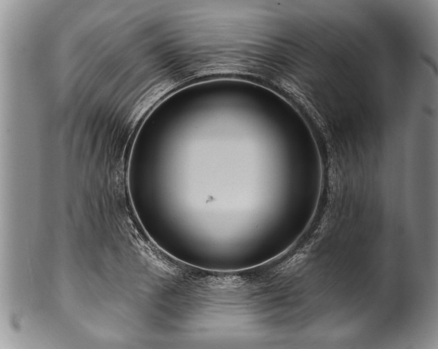 X0000100781129200806261623