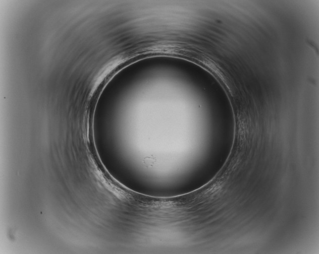 X0000100781131200806261623