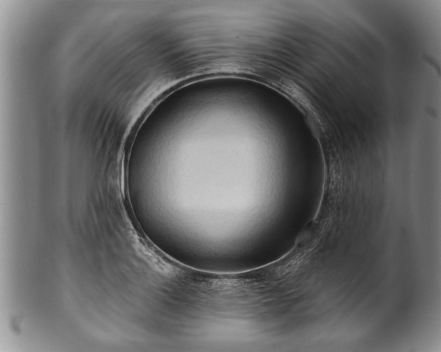 X0000100781132200806261623