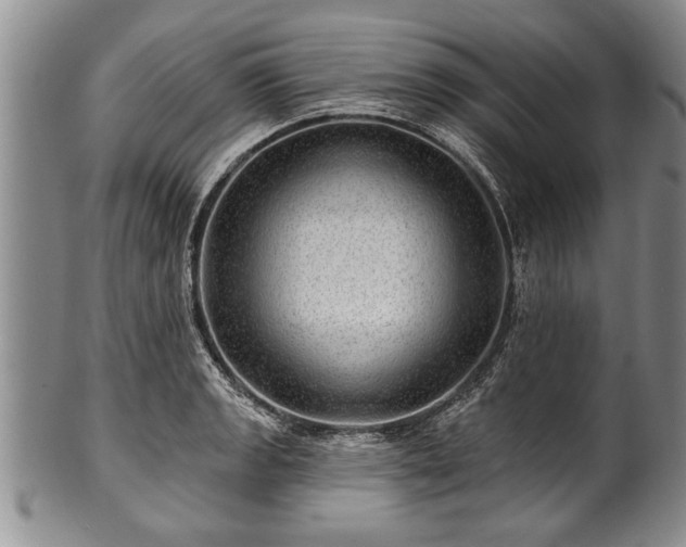 X0000100781133200806261623