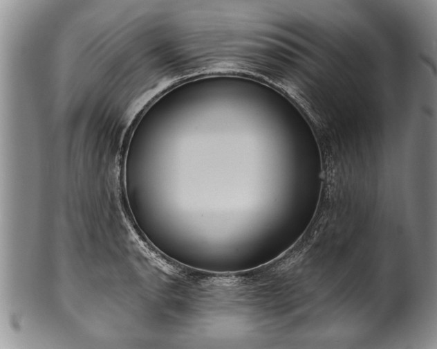 X0000100781134200806261623