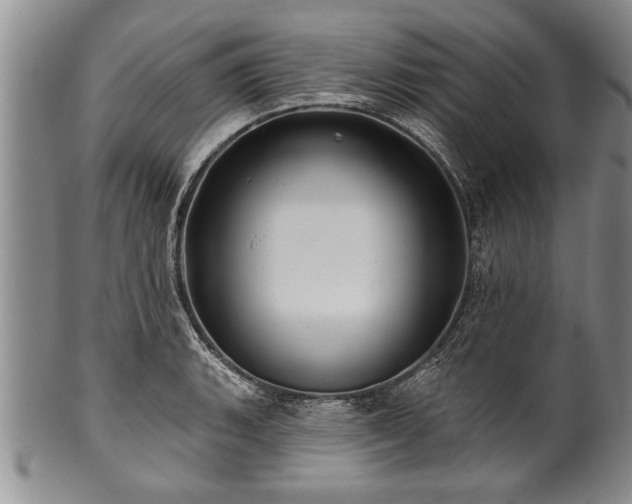 X0000100781135200806261623