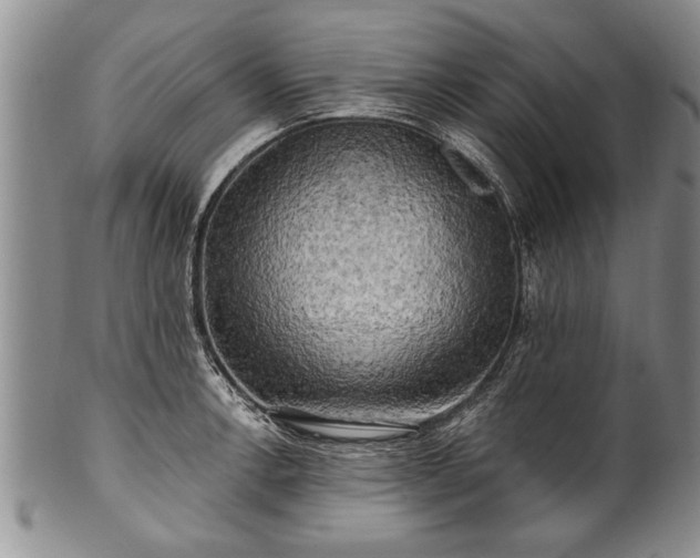 X0000100781138200806261623