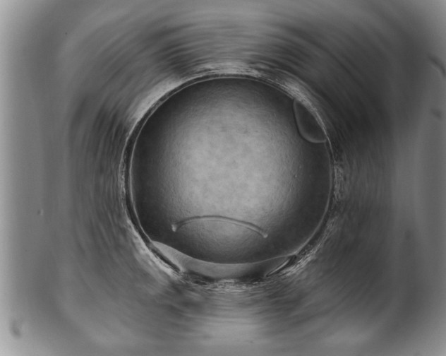 X0000100781141200806261623