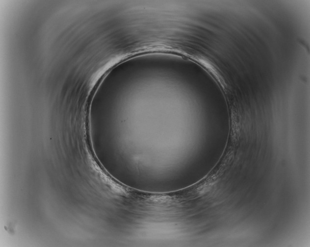 X0000100781142200806261623