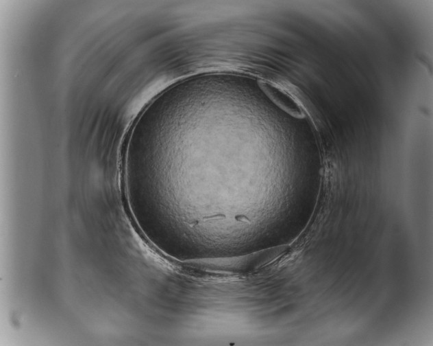 X0000100781143200806261623