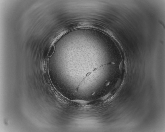 X0000100781145200806261623