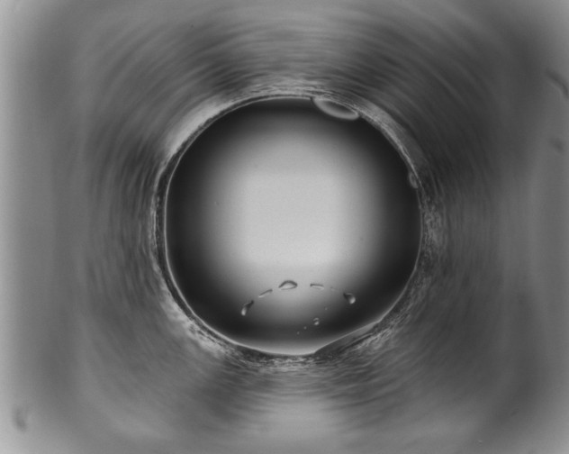 X0000100781147200806261623