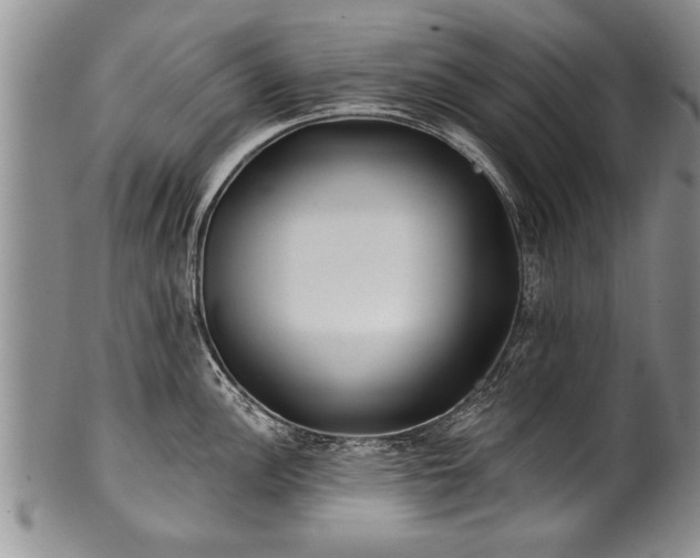 X0000100781148200806261623