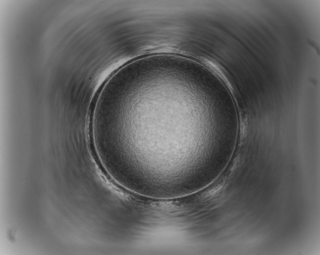 X0000100781149200806261623