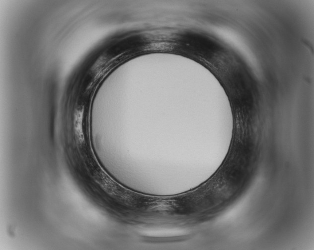 X0000100781150200806261623