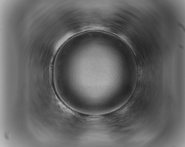 X0000100781151200806261623