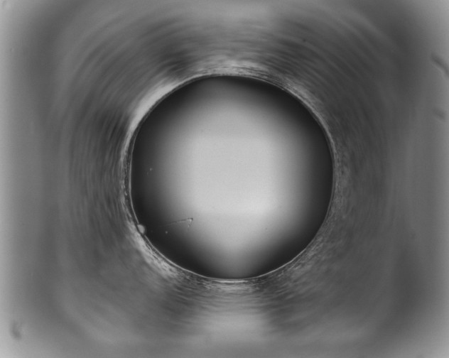 X0000100781152200806261623