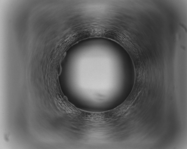 X0000100781153200806261622