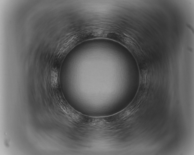 X0000100781154200806261622