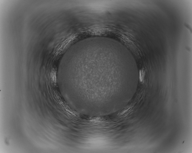 X0000100781155200806261622