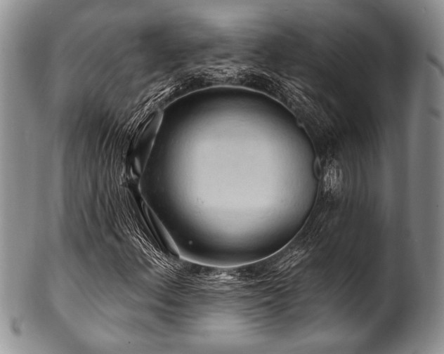 X0000100781156200806261622