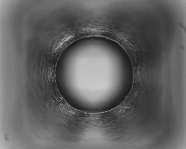 X0000100781157200806261622