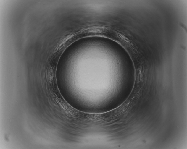 X0000100781158200806261622