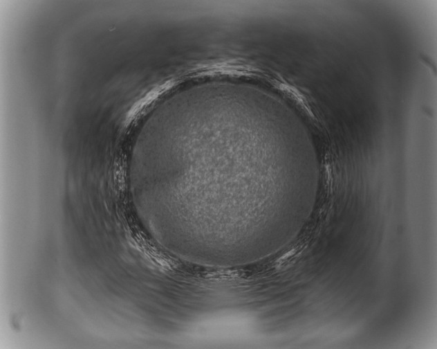 X0000100781159200806261622