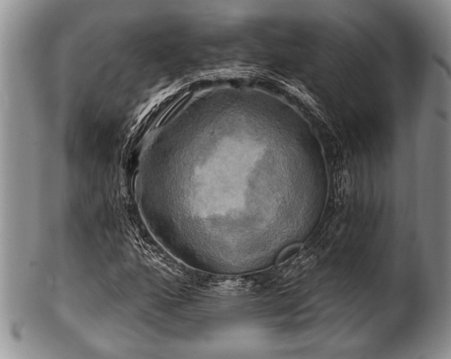 X0000100781160200806261622