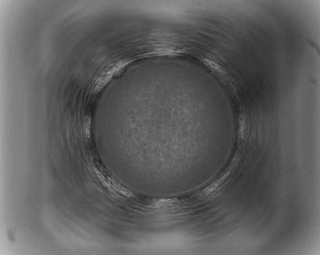 X0000100781161200806261622