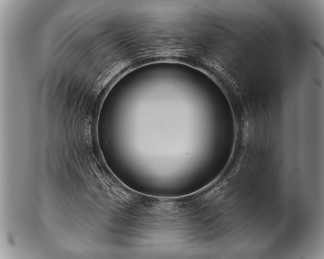 X0000100781162200806261622